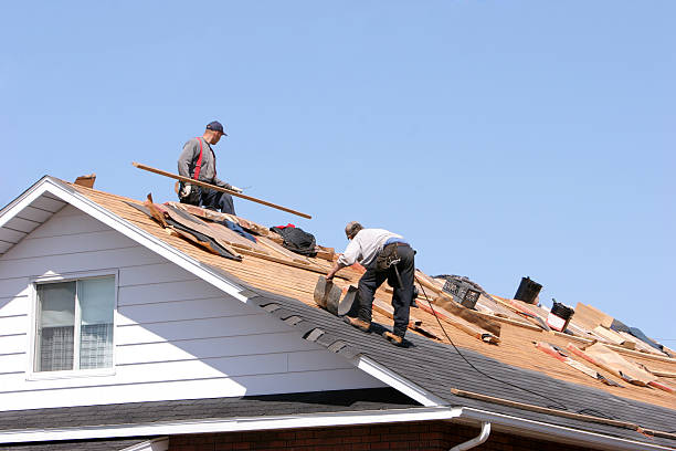 Best Roofing for New Construction  in Palm Bay, FL