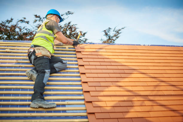 Best Roof Maintenance and Cleaning  in Palm Bay, FL